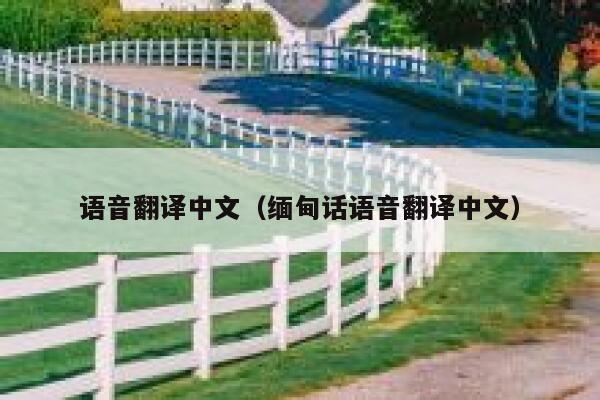语音翻译中文（缅甸话语音翻译中文） 第1张