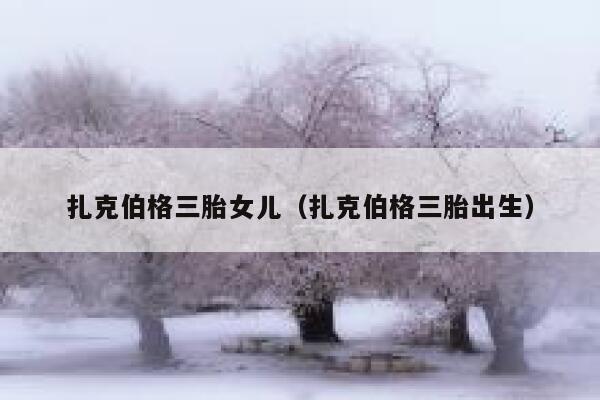 扎克伯格三胎女儿（扎克伯格三胎出生） 第1张