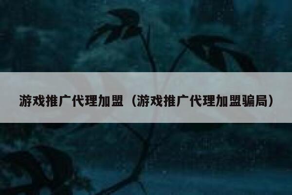 游戏推广代理加盟（游戏推广代理加盟骗局） 第1张