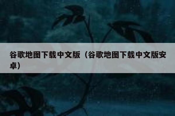 谷歌地图下载中文版（谷歌地图下载中文版安卓） 第1张