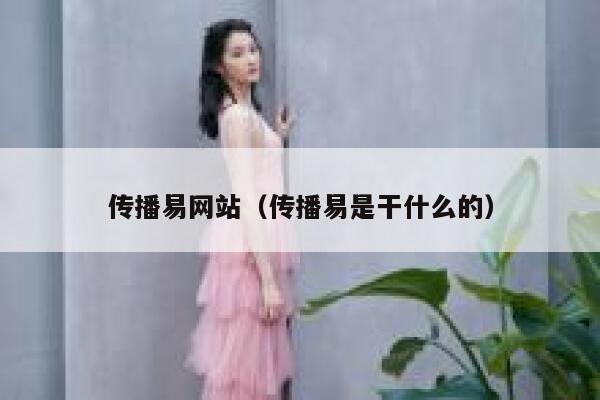 传播易网站（传播易是干什么的） 第1张
