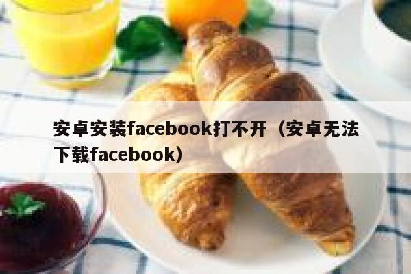安卓安装facebook打不开（安卓无法下载facebook） 第1张