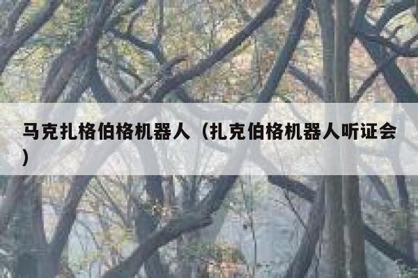 马克扎格伯格机器人（扎克伯格机器人听证会） 第1张