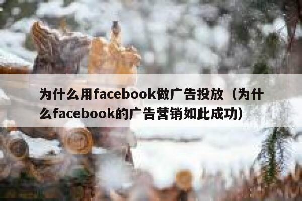 为什么用facebook做广告投放（为什么facebook的广告营销如此成功） 第1张