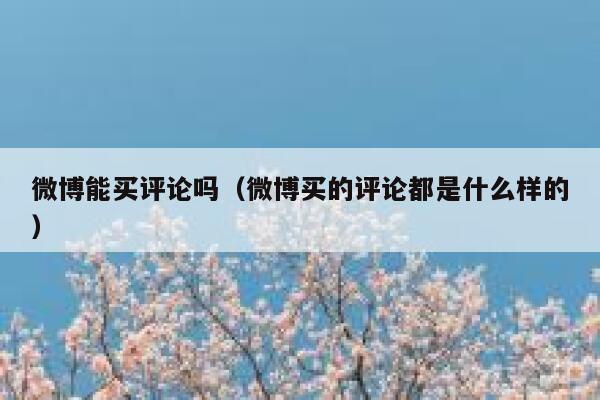 微博能买评论吗（微博买的评论都是什么样的） 第1张