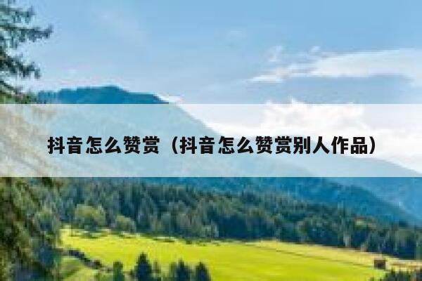 抖音怎么赞赏（抖音怎么赞赏别人作品） 第1张