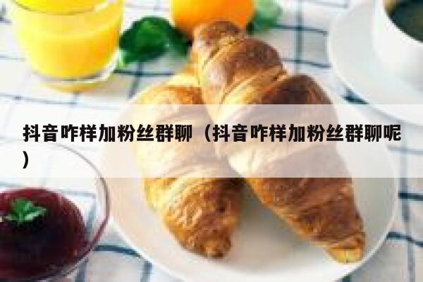 抖音咋样加粉丝群聊（抖音咋样加粉丝群聊呢） 第1张