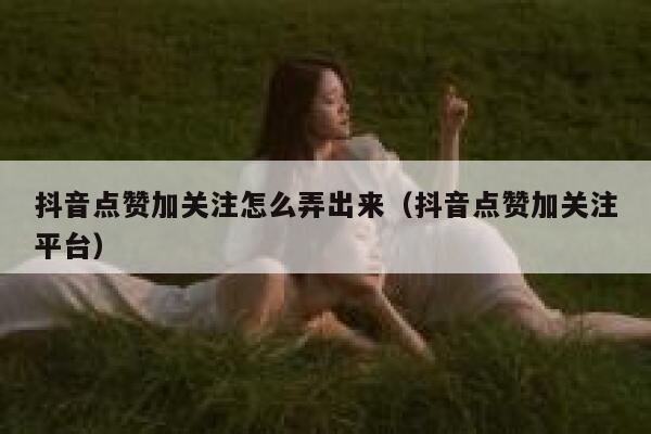 抖音点赞加关注怎么弄出来(抖音点赞加关注平台) 第1张 抖音点赞加关注怎么弄出来(抖音点赞加关注平台) 第1张