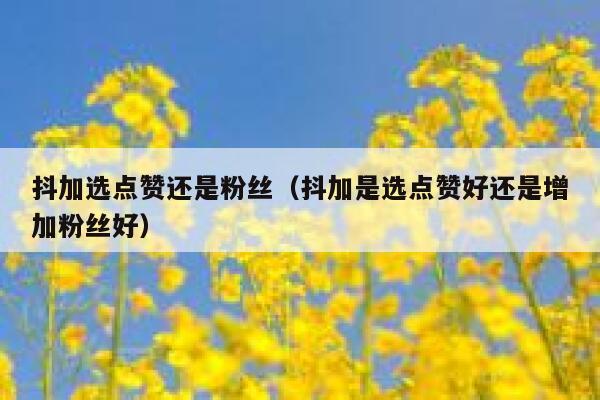 抖加选点赞还是粉丝(抖加是选点赞好还是增加粉丝好) 第1张 抖加选点赞还是粉丝(抖加是选点赞好还是增加粉丝好) 第1张