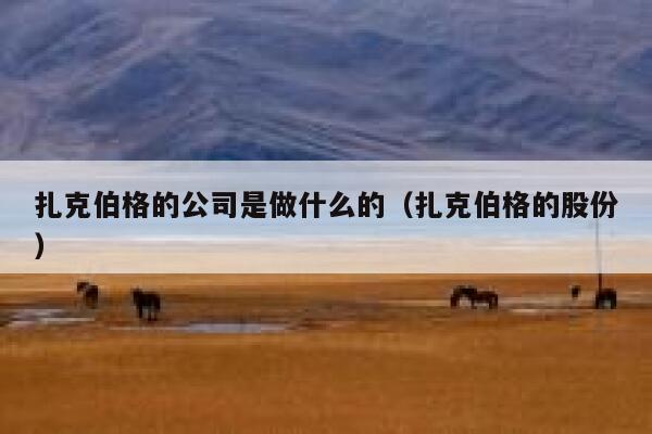 扎克伯格的公司是做什么的（扎克伯格的股份） 第1张