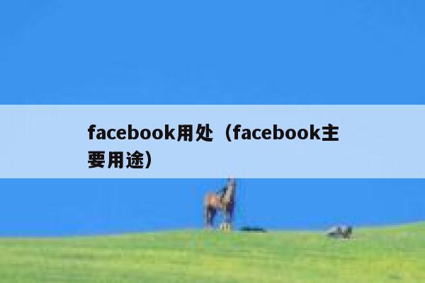 facebook用处（facebook主要用途） 第1张