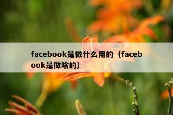 facebook是做什么用的（facebook是做啥的） 第1张