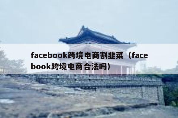 facebook跨境电商割韭菜（facebook跨境电商合法吗） 第1张