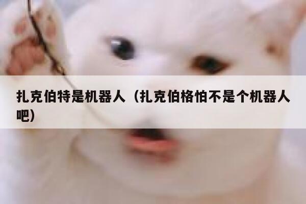 扎克伯特是机器人（扎克伯格怕不是个机器人吧） 第1张