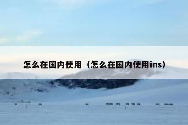 怎么在国内使用（怎么在国内使用ins） 第1张