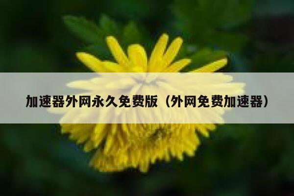 加速器外网永久免费版（外网免费加速器） 第1张