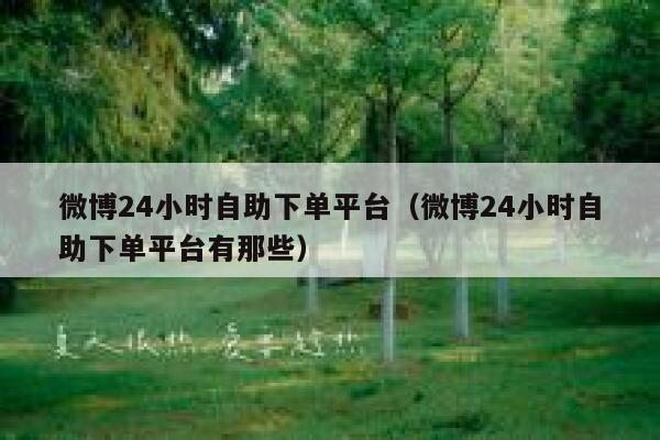微博24小时自助下单平台（微博24小时自助下单平台有那些） 第1张