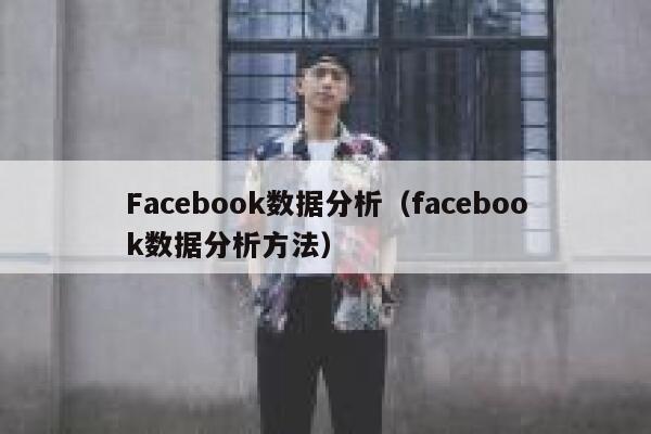 Facebook数据分析（facebook数据分析方法） 第1张