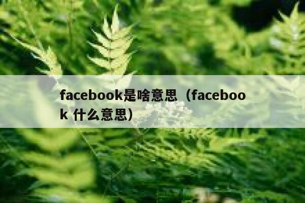 facebook是啥意思（facebook 什么意思） 第1张