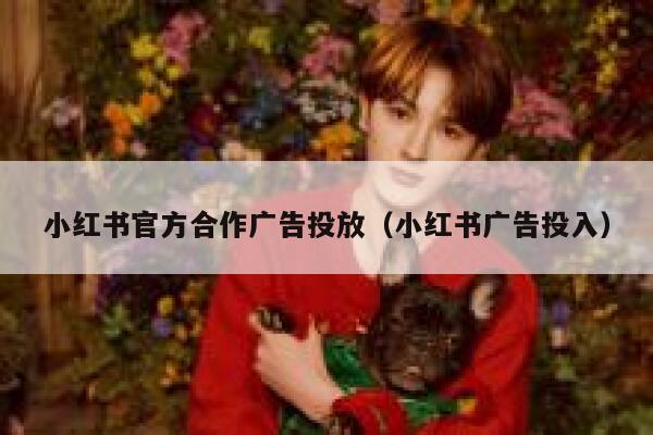 小红书官方合作广告投放(小红书广告投入) 第1张 小红书官方合作广告投放(小红书广告投入) 第1张