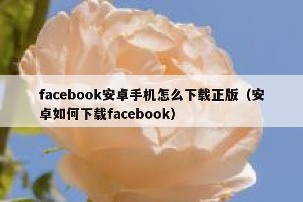 facebook安卓手机怎么下载正版(安卓如何下载facebook) 第1张 facebook安卓手机怎么下载正版(安卓如何下载facebook) 第1张