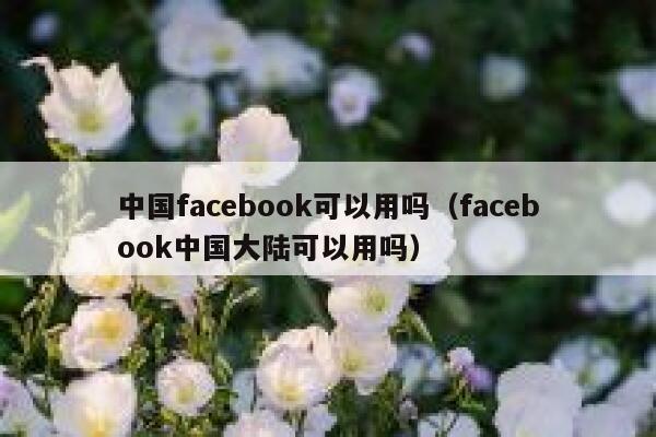 中国facebook可以用吗（facebook中国大陆可以用吗） 第1张