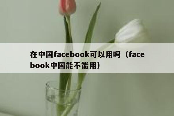 在中国facebook可以用吗（facebook中国能不能用） 第1张