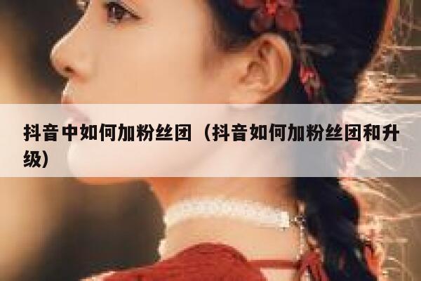 抖音中如何加粉丝团(抖音如何加粉丝团和升级) 第1张 抖音中如何加粉丝团(抖音如何加粉丝团和升级) 第1张