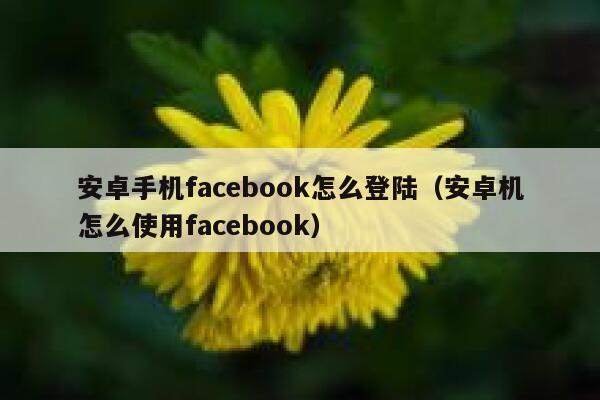 安卓手机facebook怎么登陆（安卓机怎么使用facebook） 第1张