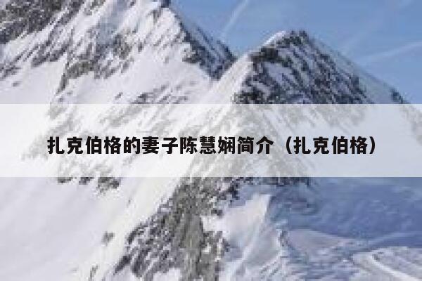 扎克伯格的妻子陈慧娴简介（扎克伯格） 第1张