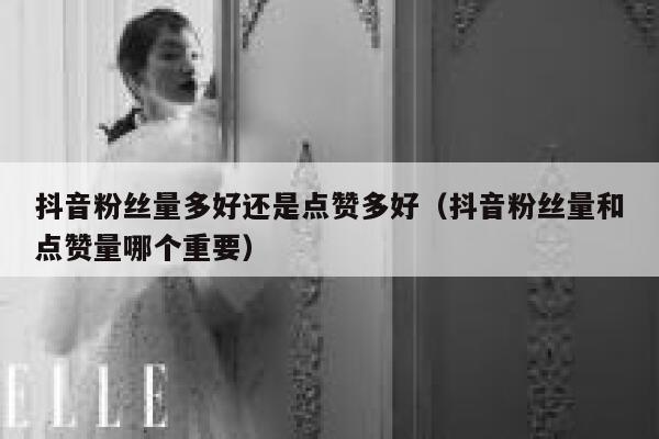 抖音粉丝量多好还是点赞多好(抖音粉丝量和点赞量哪个重要) 第1张 抖音粉丝量多好还是点赞多好(抖音粉丝量和点赞量哪个重要) 第1张