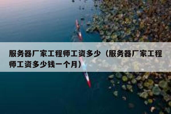 服务器厂家工程师工资多少（服务器厂家工程师工资多少钱一个月） 第1张