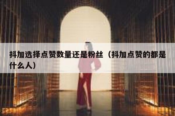 抖加选择点赞数量还是粉丝(抖加点赞的都是什么人) 第1张 抖加选择点赞数量还是粉丝(抖加点赞的都是什么人) 第1张