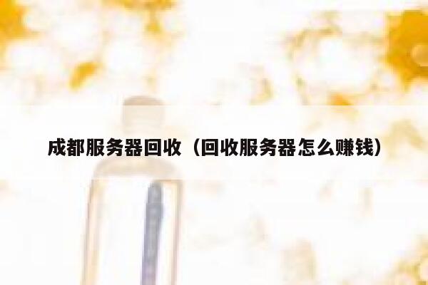 成都服务器回收(回收服务器怎么赚钱) 第1张 成都服务器回收(回收服务器怎么赚钱) 第1张