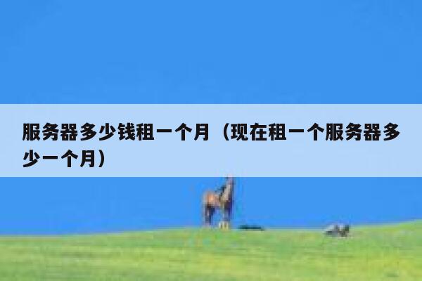 服务器多少钱租一个月（现在租一个服务器多少一个月） 第1张
