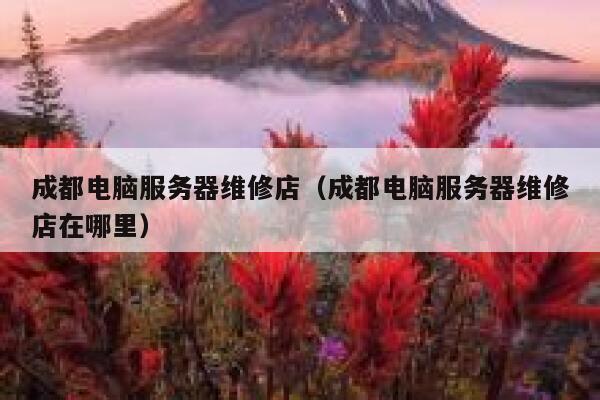成都电脑服务器维修店（成都电脑服务器维修店在哪里） 第1张