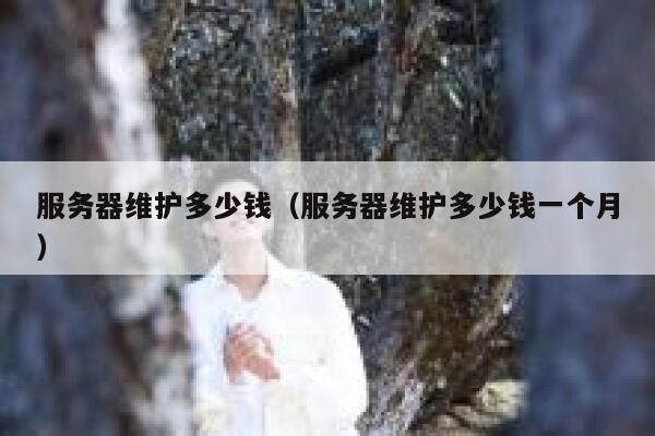 服务器维护多少钱（服务器维护多少钱一个月） 第1张