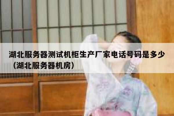 湖北服务器测试机柜生产厂家电话号码是多少（湖北服务器机房） 第1张