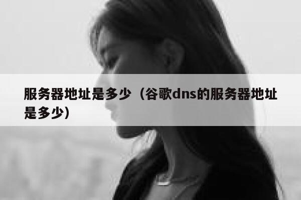 服务器地址是多少（谷歌dns的服务器地址是多少） 第1张