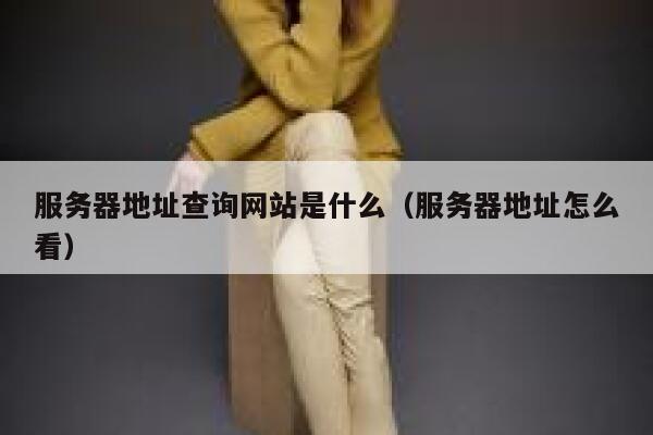 服务器地址查询网站是什么（服务器地址怎么看） 第1张