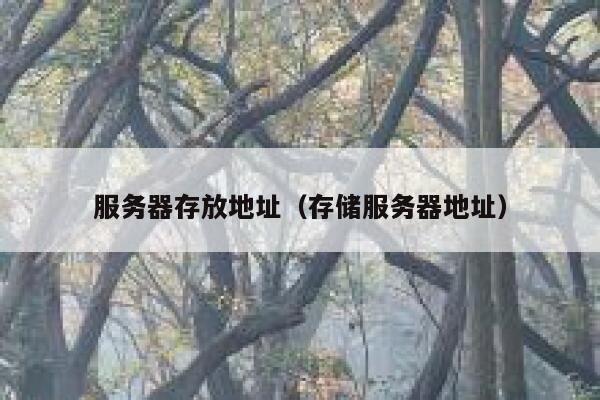 服务器存放地址（存储服务器地址） 第1张