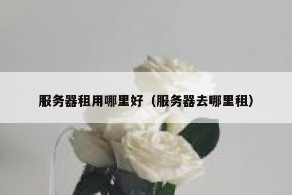 服务器租用哪里好(服务器去哪里租) 第1张 服务器租用哪里好(服务器去哪里租) 第1张