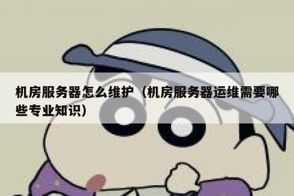 机房服务器怎么维护（机房服务器运维需要哪些专业知识） 第1张