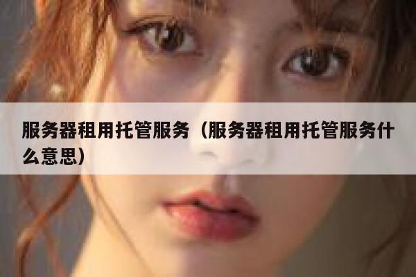 服务器租用托管服务（服务器租用托管服务什么意思） 第1张