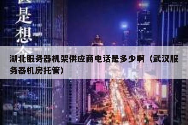 湖北服务器机架供应商电话是多少啊(武汉服务器机房托管) 第1张 湖北服务器机架供应商电话是多少啊(武汉服务器机房托管) 第1张