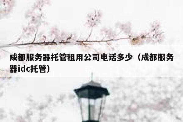 成都服务器托管租用公司电话多少（成都服务器idc托管） 第1张