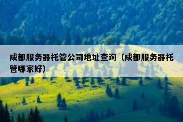 成都服务器托管公司地址查询（成都服务器托管哪家好） 第1张