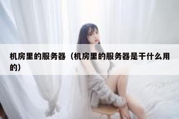 机房里的服务器（机房里的服务器是干什么用的） 第1张