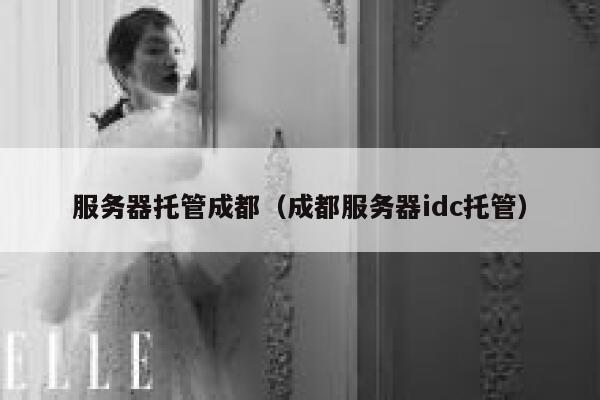 服务器托管成都（成都服务器idc托管） 第1张
