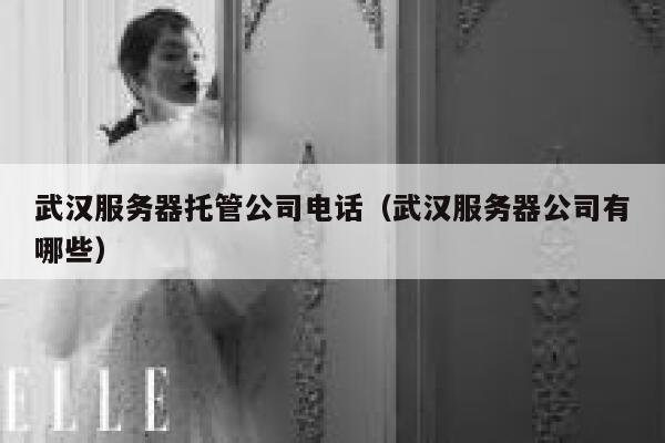 武汉服务器托管公司电话（武汉服务器公司有哪些） 第1张